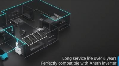 100Ah 200Ah 300Ah 25,6 V 51,2 V an der Wand befestigte LiFePO4 Solar-Lithium-Batterie (AN-NPRO)